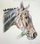  Chalco -winner of The Velka Pardubicka